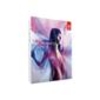 Adobe After Effects CS6 Complete Package - Windows