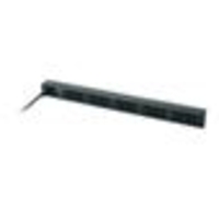 APC Rack PDU,  Basic,  Zero U,  10A, 2