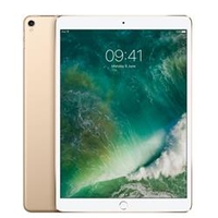 Apple 12.9-inch iPad Pro Wi-Fi + Cellular 64GB - Gold