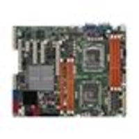 Asus S1366 Intel 5500 DDR3 ATX