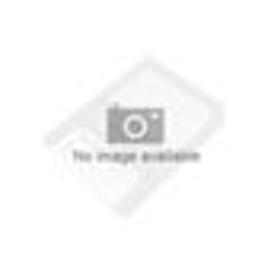 Iron Key IronKey 2GB S200 Basic