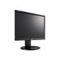 LG Electronics LGE1910P-BN - LCD display - TFT - LED backlight - 19 - 1280 x 1024 - 5 ms - DVI-D,  VGA