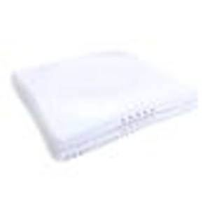 Ruckus 7363 Mid Range Dual Access Point