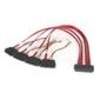 StarTech.com 50cm Serial Attached SCSI SAS Cable  SFF-8484 to 4x SFF-8482 with LP4 Power