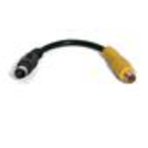 StarTech.com S-Video to Composite Video Adapter Cable - video adapter - S-Video / composite video - 15 cm