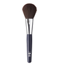 Face & Body Brush