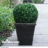 Biscotti Square Patio Pot