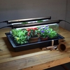 Geopod Heated Propagator