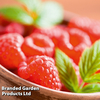 Raspberry 