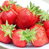 Strawberry Sweet Sensation - 4 runners + 1 Grow Pouch
