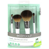 EcoTools On The Go Style Kit