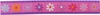 Hem & Boo Daisy Chain Collars & Leads