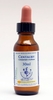 Centaury