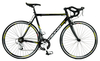 Viking Peloton Road Bike