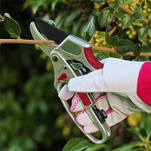 2-in-1 Ratchet Secateurs