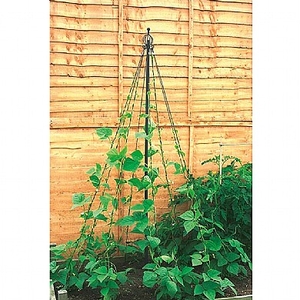 Maypole Garden Support - Box Damaged Bargain