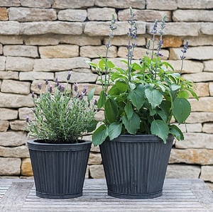 Provencal Planters - Tapered Sides