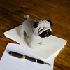 Pug Paperweight