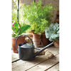 Sophie Conran Indoor Watering Can