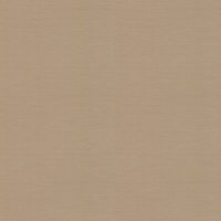 Osborne & Little Wallpaper Bark W6581-04