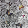 Osborne & Little Wallpaper Butterfly Garden W6592/02