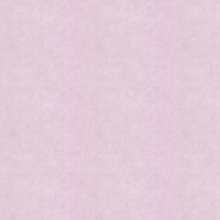 SK Filson Wallpaper Florence Plain DE41408
