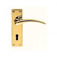 Classical Wing Polished Brass Lever on Backplate Door Handle (Euro 47.5c/c)