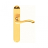 Designer Andros Polished Brass Lever on Backplate Door Handle (Lever Latch)