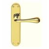 Designer Astro Polished Brass Lever on Backplate Door Handle (Euro 47.5c/c)