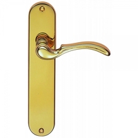 Designer Bona Polished Brass Lever on Backplate Door Handle (Lever Lock)