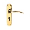Designer Wing Polished Brass Lever on Backplate Door Handle (Lever Latch)
