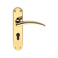 Designer Wing Polished Brass Lever on Backplate Door Handle (Lever Lock)