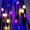 1000 LED Flexibrights 35M - Rainbow Multi-Action