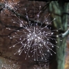 1.2m White Sparkle Ball Light