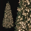 750 Warm White Treebrights with Timer