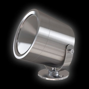 Albany Premium Solar Spotlight