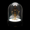 Bell Jar Light