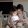 Bjorn Polar Bear Projector Light - USB Powered