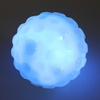 Brite Ball Dog Ball