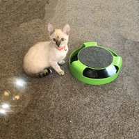 Cat Nip Fun Bubbles
