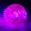 Flashing Dog Ball