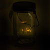 Glass Firefly Solar Lantern