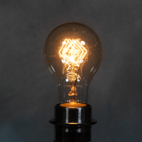Globe E27 40W Bulb (BL004)