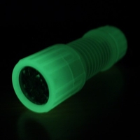 Glow in the Dark Torch