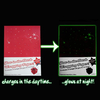 Glow In The Dark Wrapping Paper