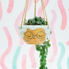 Grandma Rose Hanging Planter