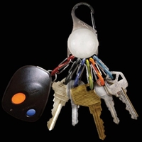 Keylit Carabiner Light Up Keyring