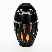 LED Flame Effect Speaker