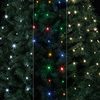Microbright Tree Net Lights