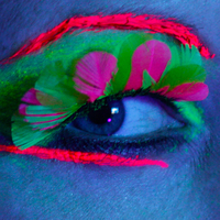 Neon Feather Eyelashes